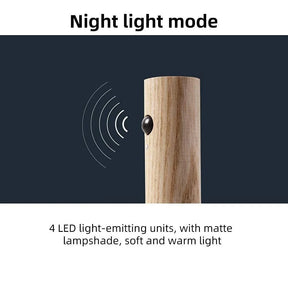 Motion Sensor Night Light (Portable)